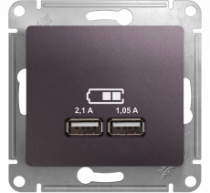   USB Schneider, USB-A x 2, 2.1A ( )