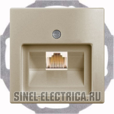 Розетка телефонная Jung (RJ-11/12) 1 разъем ABB Basic 55 (шампань) Розетка телефонная Jung (RJ-11/12) 1 разъем ABB Basic 55 (шампань)
