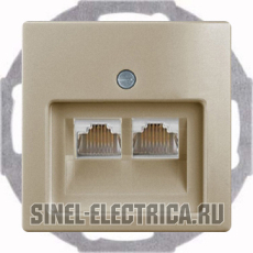 Розетка телефонная Jung (RJ-11/12) 2 разъема ABB Basic 55 (шампань) Розетка телефонная Jung (RJ-11/12) 2 разъема ABB Basic 55 (шампань)