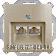 Розетка компьютерная Jung RJ-45 2 выхода с лицевой панелью ABB Basic 55 (шампань) Розетка компьютерная Jung RJ-45 2 выхода с лицевой панелью ABB Basic 55 (шампань)