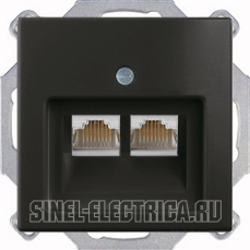 Розетка компьютерная Jung RJ-45 2 выхода с лицевой панелью ABB Basic 55 (шато-черный) Розетка компьютерная Jung RJ-45 2 выхода с лицевой панелью ABB Basic 55 (шато-черный)