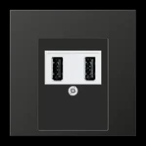 Зарядное устройство USB Jung, USB-A x 2, 2A, белая панель (Антрацит)