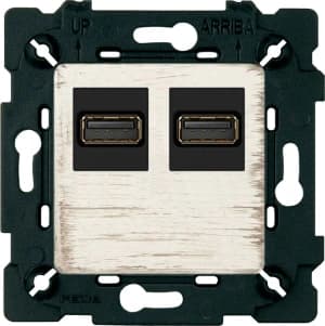 Розетка USB двойная (Винтажный белый, черный)