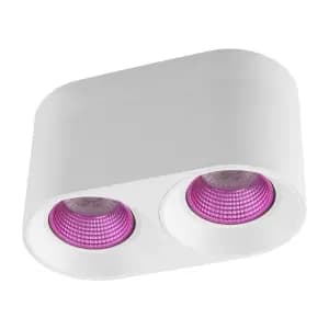 Потолочный светильник Denkirs DK3020WPI