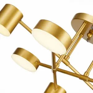 Потолочная светодиодная люстра Evoluce Nobel