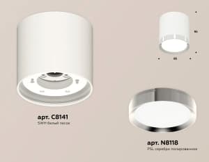 Комплект накладного светильника Ambrella light Techno Spot XS (C8141, N8118)