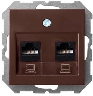 Розетка информационная RJ45 двойная категория 6 (Коричневый)