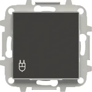 Розетка электрическая ABB со шторками с откидной крышкой (Чёрный бархат)