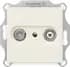 A561PLTV/S2900-10
