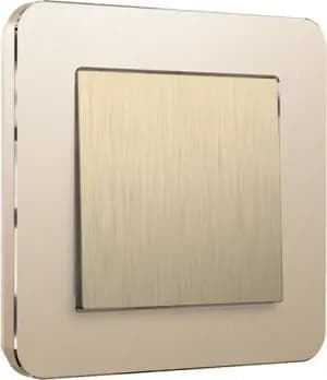 Рамки Werkel Platinum шампань