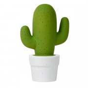   Lucide Cactus