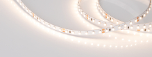   RT-A120-8mm 24V Warm3000 (9.6 W/m, IP20, 2835, 5m) (arlight, )