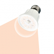 Лампа светодиодная для растений (UL-00001820) E27 10W шар прозрачный