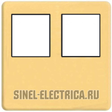   2- .  RJ-45 (real gold, )