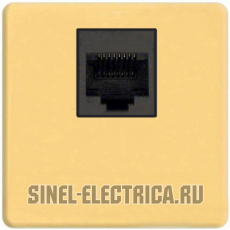  Fede RJ-45 (Real Gold, )