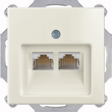 Розетка компьютерная Jung RJ-45 2 выхода с лицевой панелью ABB Basic 55 (шале-белый) Розетка компьютерная Jung RJ-45 2 выхода с лицевой панелью ABB Basic 55 (шале-белый)