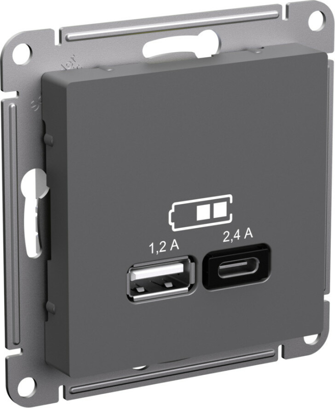   USB Schneider, USB-A + USB-C, 2.4A ()