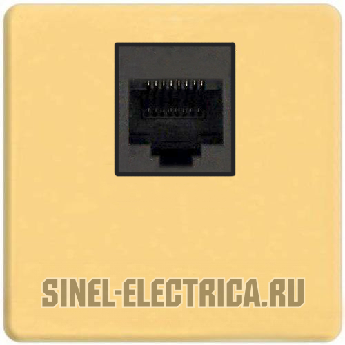  Fede RJ-45 (Real Gold, )