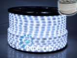   Rich LED 2- ,  , 13 ,  ( 100 )