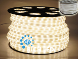   Rich LED 2- ,  , 13 ,   ( 100 )