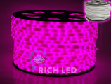   Rich LED 2- ,  , 13 ,  ( 100 )