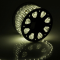   Rich LED 13 , , , 2- ,   2 ,  