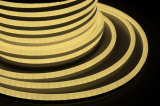 Led Neon Flex      ,  -  