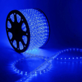   Rich LED   13 ,  ( 100 )
