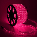   Rich LED   13 ,  ( 100 )