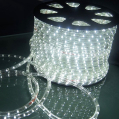   Rich LED   13 ,  ( 100 )