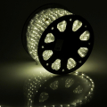   Rich LED   13 ,   ( 100 )
