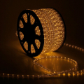   Rich LED   13 ,  ( 100 )